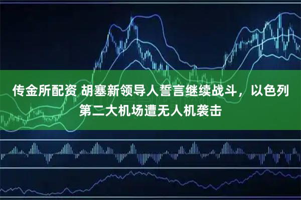 传金所配资 胡塞新领导人誓言继续战斗，以色列第二大机场遭无人机袭击