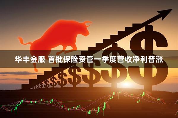 华丰金服 首批保险资管一季度营收净利普涨