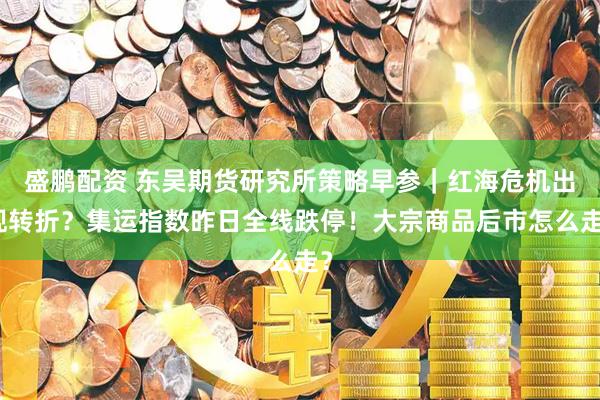 盛鹏配资 东吴期货研究所策略早参｜红海危机出现转折？集运指数昨日全线跌停！大宗商品后市怎么走？