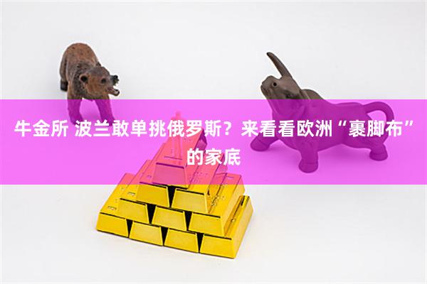 牛金所 波兰敢单挑俄罗斯？来看看欧洲“裹脚布”的家底