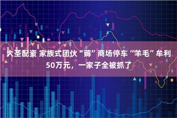 大圣配资 家族式团伙“薅”商场停车“羊毛”牟利50万元，一家子全被抓了