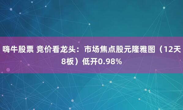 嗨牛股票 竞价看龙头：市场焦点股元隆雅图（12天8板）低开0.98%
