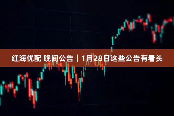 红海优配 晚间公告｜1月28日这些公告有看头