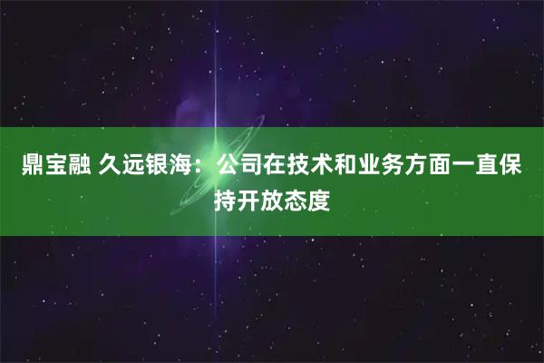 鼎宝融 久远银海：公司在技术和业务方面一直保持开放态度